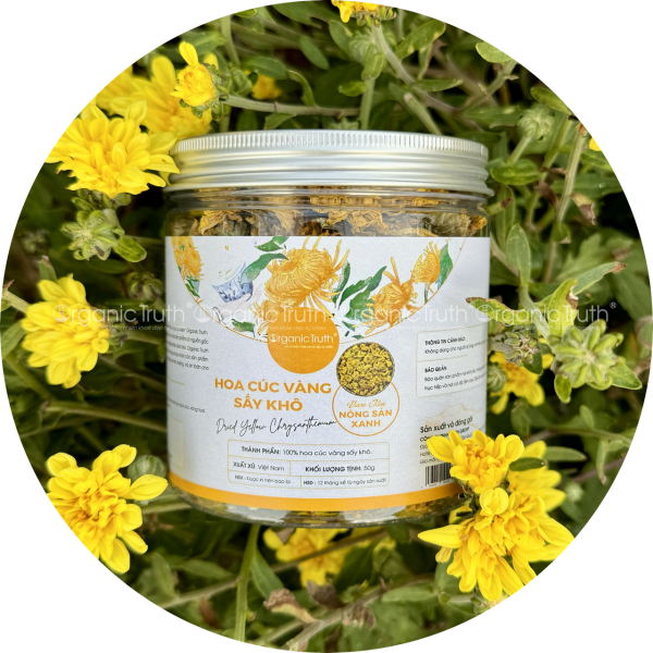 trà hoa cúc vàng