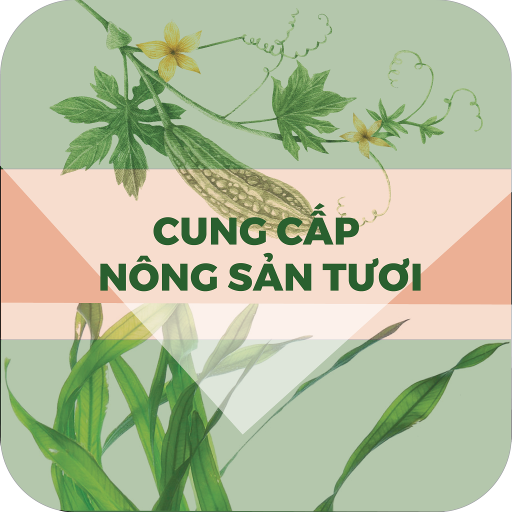 cung cap nong san tuoi