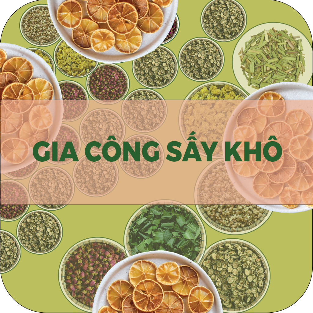 gia cong say kho
